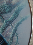 Коллекционная фарфоровая тарелка "Зимородки". Rosenthal. Германия., фото №8