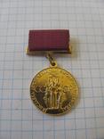 Медаль ВСХВ За успехи в народном хозяйстве, фото №2