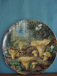 Коллекционная тарелка "Лисички в хвойном лесу". Художник - Gunter Hildebrandt., фото №2