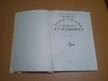 Губер П. Дон-жуанский список Пушкина, фото №3