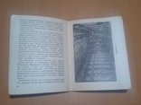 1939 год Путеводитель Екатеринский дворец-музей и Парк, фото №11