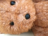 Медведь мишка медвежонок солома или опилки 70 см рычит, фото №8