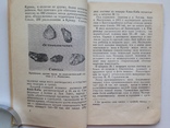 Путеводитель по Бахчисарайскому музею. 1959. 88 с.ил. 40 тыс. экз., фото №6