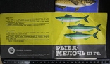 Етикетки риби, фото №4