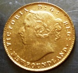 2 долара 1870 р Ньюфауленд,  новодєл - копія , позолота, фото №3
