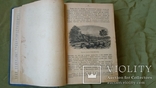 Жизнь Иисуса Христа. Сочинения Ф.В. Фаррара . СПБ 1904 год, фото №11