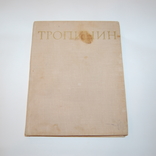 1970 Альбом о художнике Тропинин. Цвет иллюстрации, фото №2