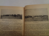 Українські Збройні Сили 1917-21 Гетьманат Центральна Рада, фото 12