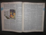 Краткая энциклопедия домашнего хозяйства.1990 год., фото №7