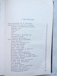 Пирожник И., Аношко В., Кот С. Дорогами дружбы. - Минск: Полымя, 1985, фото №7