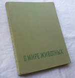 В мире животных. Фотоальбом. Варшава 1969г. В. Пухальский., фото №2