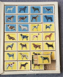 Спички, сувенирный набор &quot;Служебные и охотничьи собаки&quot;, фото 6