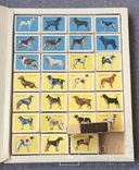 Спички, сувенирный набор &quot;Служебные и охотничьи собаки&quot;, фото 7