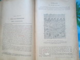 Курс гистологии.1946 год, фото №5