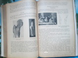 Учебник частной хиругрии.1947 год, фото №6