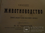 1913 Кормление разведение Сельское Хозяйство, фото №5