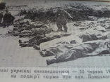 Злочини комуністичної москви в Україні в літі 1941, фото №3
