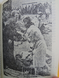Злочини комуністичної москви в Україні в літі 1941, фото №7