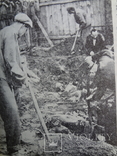 Злочини комуністичної москви в Україні в літі 1941, фото №8
