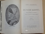 Последний фаворит. Лев Жданов. Репринтное издание. 1991. 448 с., ил., фото №5