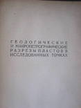 Донецкий бассейн., фото №3