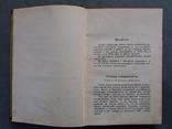 Руководство по исторіи русской литературы. 1928г., фото №7