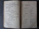 Начерки для учителя природописа. 1924 г., фото №8