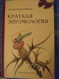 Плавильщиков Н.Н. Краткая энтомология., фото №2