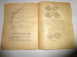 1941 Пояснення Українського Тризуба Германская Оккупация, фото 4