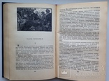 Казачка.  Н.Сухов.  Роман.  1960.  544 с. ил., фото №6