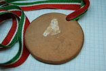 Медаль Войска ПВО страны. Участнику Руководящего Инженерного состава 1983 Каунас, фото №3