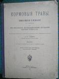 Кормовые травы.Изображения и описания с данными об их возделывании., фото №2