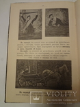 1899 Книга о оружии для Русской Императорской Армии, фото №2