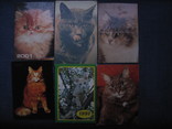 Календарики кошки, фото №2