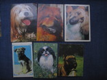 Календарики собаки, фото №2