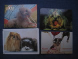 Календарики собаки, фото №8