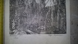Косовиця сіна Гебус - Баранецька 1947 дереворит, фото №6