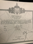 Памятная серебряная гривна Киевского типа, фото 5