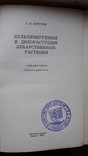 Кортуков. Культивируемые и дикорастущие лекарственные растения.справочник, фото №5