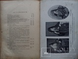 Абхазия 1898г. С иллюстрациями и картой, фото №11