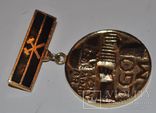 Медаль Lubin, Budowniczych LGOM., фото №9