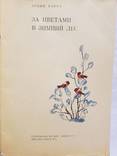 Детская книга Агния Барто за цветами в зимний лес 1974, фото №4