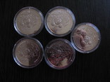 5 гривен 2012 Евро набор, фото №2