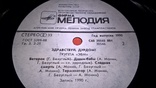 ЭВМ (Здравствуй, Дурдом!) 1990. (LP). 12. Vinyl. Пластинка. NM/EX+, фото №5