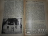 1931 Польский Терор Видання Українських Націоналістів, фото №8