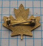 Канада листик, фото №3