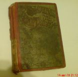 Князь серебряный 1899 г., фото №2