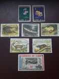 Старые Кубинские марки 58- 63 гг., фото №4