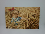 Открытка 1970 Пшеница золотая. Ребенок. Чистая, фото №2