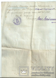 Главная выпись 1913 г., фото №11